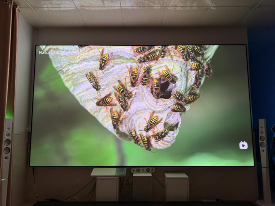 略：千元档到万元档这四款闭眼入不踩坑麻将胡了电子游戏双十二投影仪选购攻(图4)